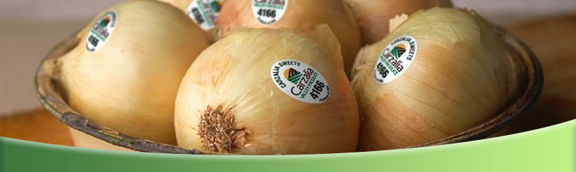 Utah Onions secures supply deal with Carzalia Valley Produce