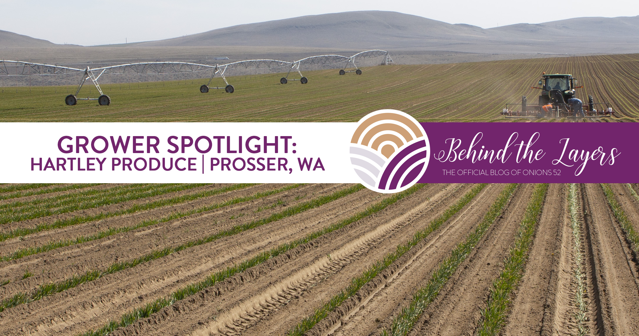 Grower Spotlight: Hartley Produce